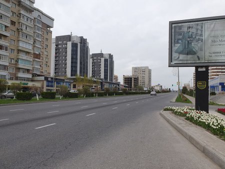 Новую пропускную систему через блокпосты внедряют в Шымкенте.
